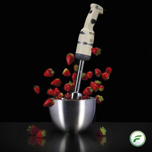 FAMA-INDUSTRIAL-HAND-MIXER-12