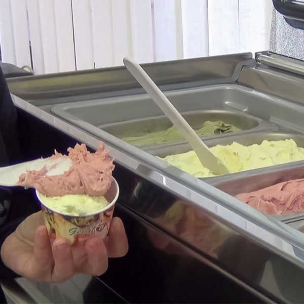 NEMOX MAGIC PRO מקפיא גלידה מבית נמוקס האיטלקית