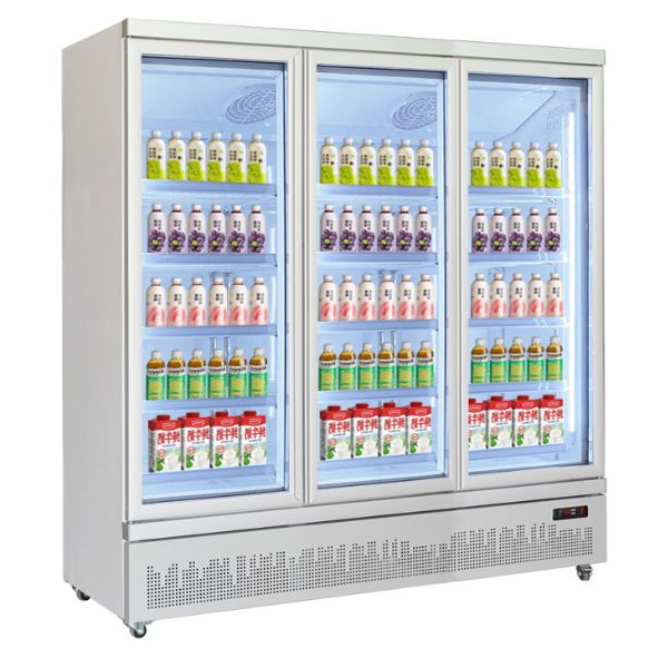 hotpoint-refrigerator-white-black-2-doors-2-doors (8)